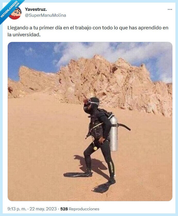 trabajo,universidad,aprendido