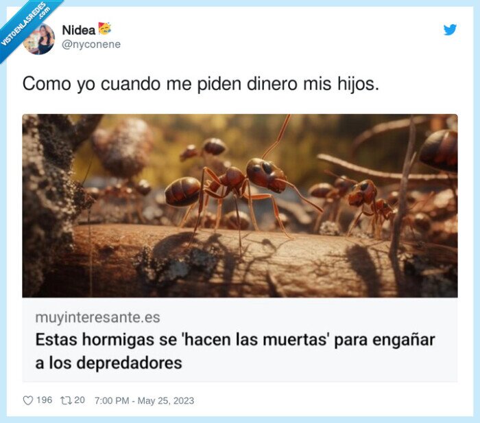 dinero,pedir,hijos,hormigas,hacerse el muerto