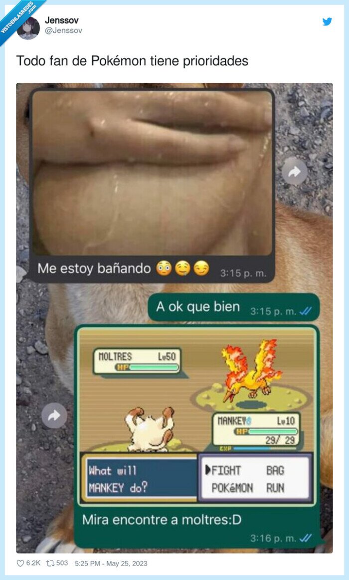 prioridades,pokémon,fan