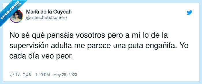 supervisi&oacute;n,enga&ntilde;ifa,vosotros,adulta