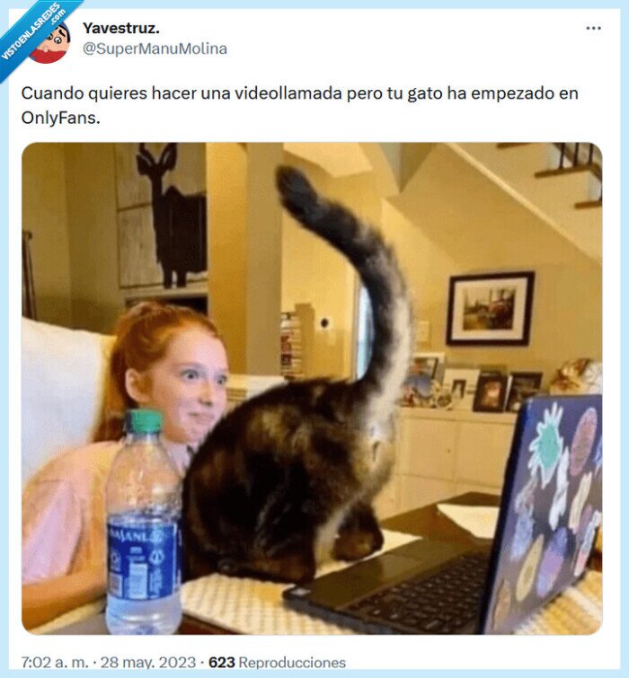 gato,onlyfans,videollamada