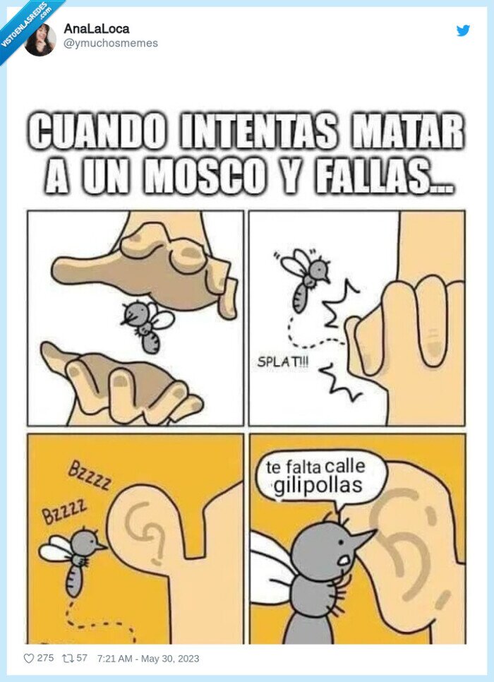 mosquito,picar,fallar,faltar calle