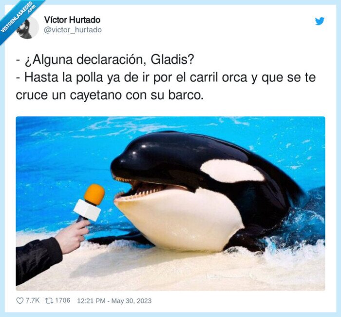 gladis,orca,yates