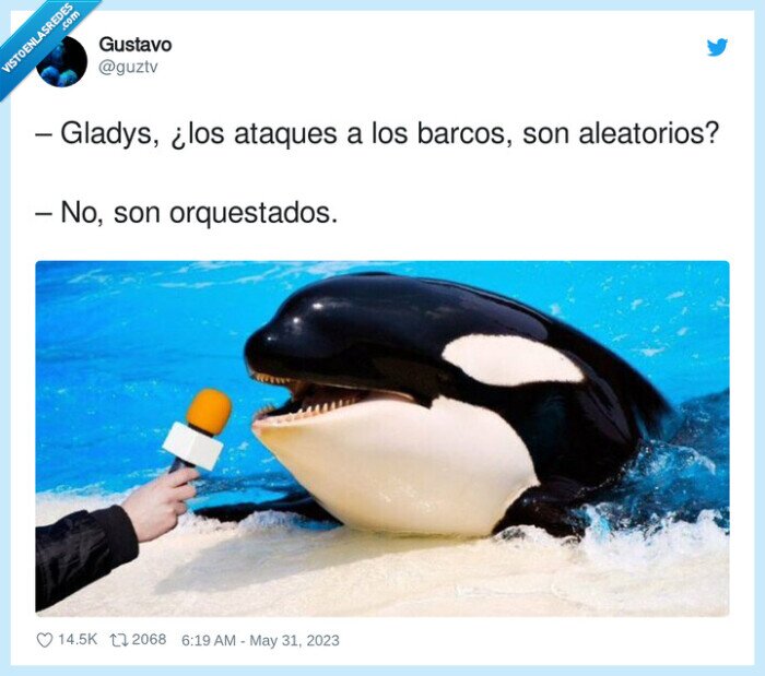 ataques,orca,gladis