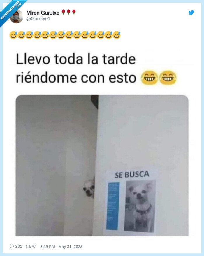 se busca,perro,cartel