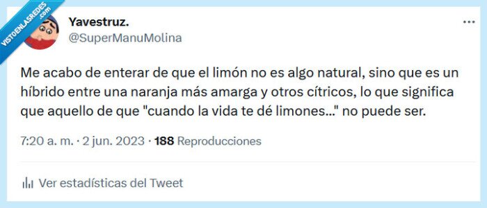 limón,cítirco,naranja,vida