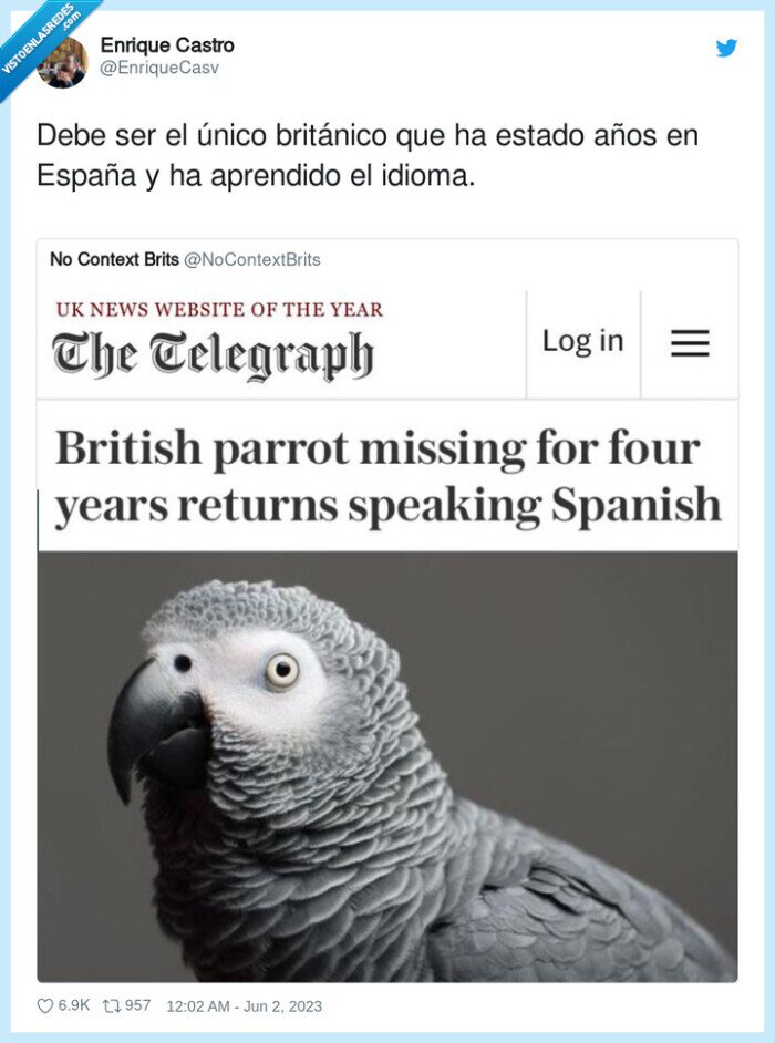 británico,aprendido,españa,loro,idioma