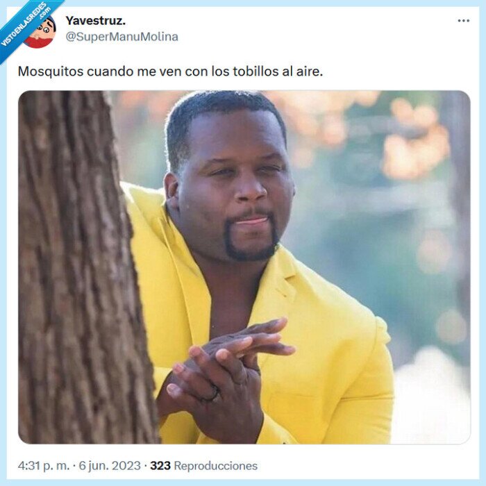 tobillo,aire,mosquito,picar