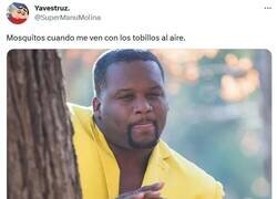 Enlace a Me pilló por @supermanumolina