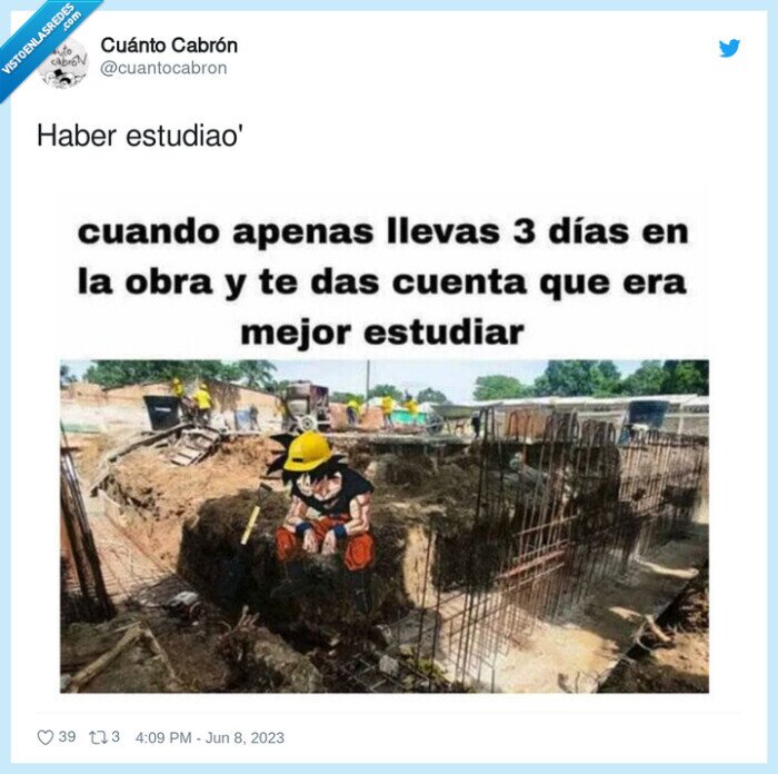 estudiao,haber,obra,goku