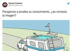 Enlace a ¿Correcto o incorrecto? por @InformaCosmos