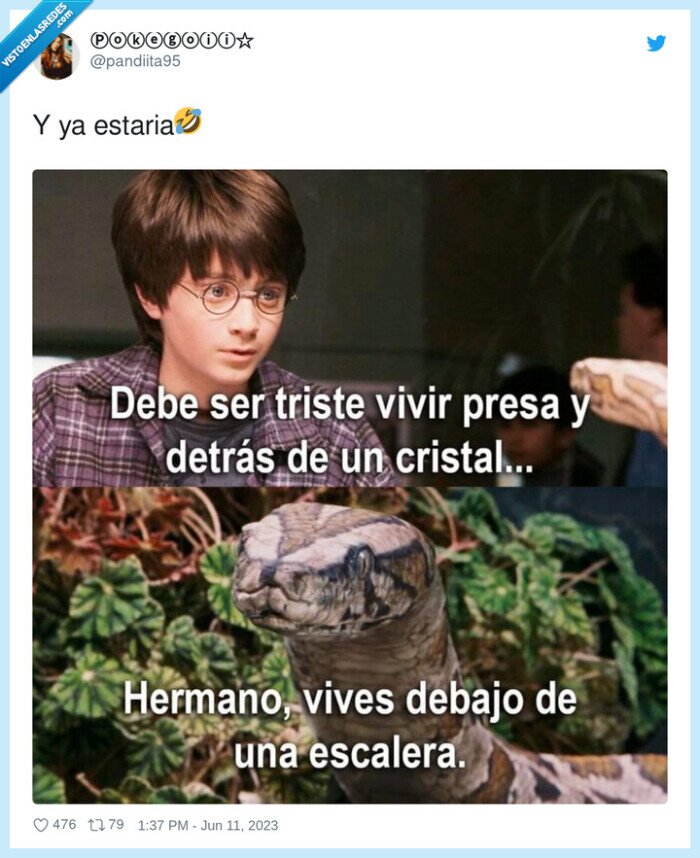 serpiente,escalera,harry potter