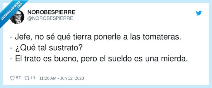 tomateras,sustrato,tierra,sueldo