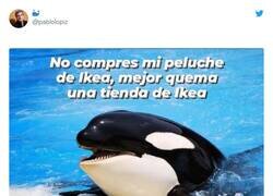 Enlace a Palabra de Gladis, por @pablolopiz