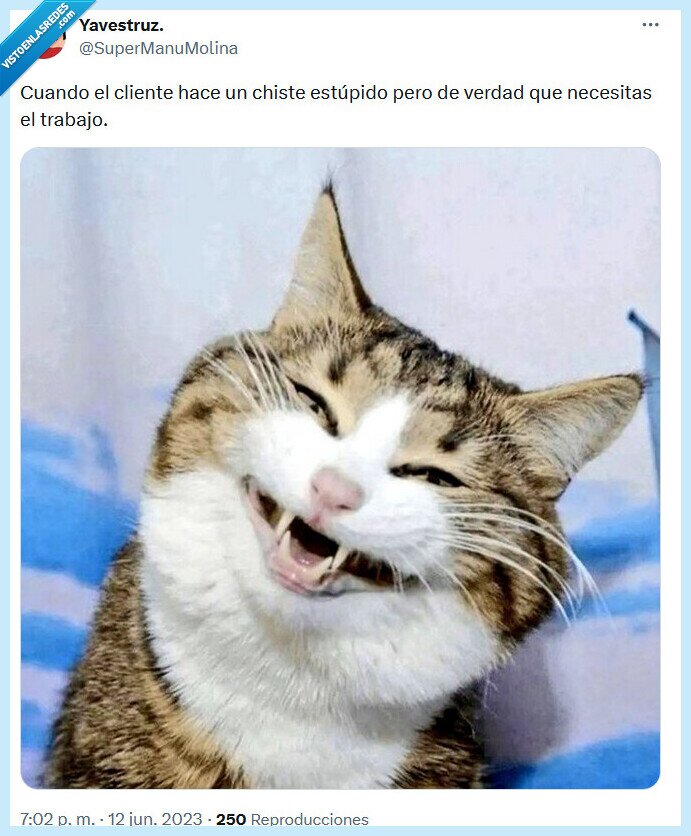 cliente,chiste,trabajo