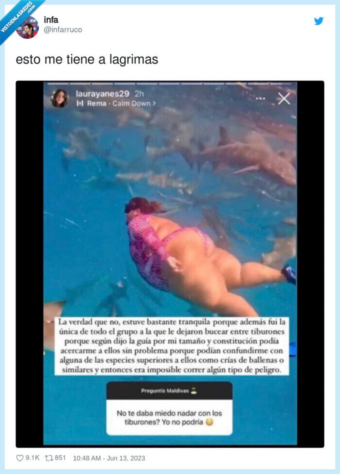 ballena,atacar,tiburon,problema,gorda