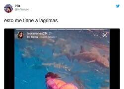 Enlace a No puede ser que lo explique tan contenta, por @infarruco