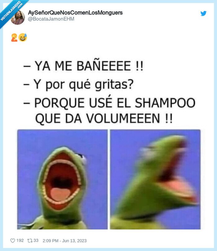 rana gustavo,champú,gritar,cabello