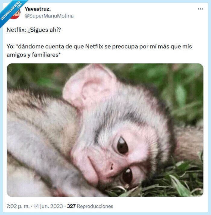 netflix,preocuparse,amigos,familiares