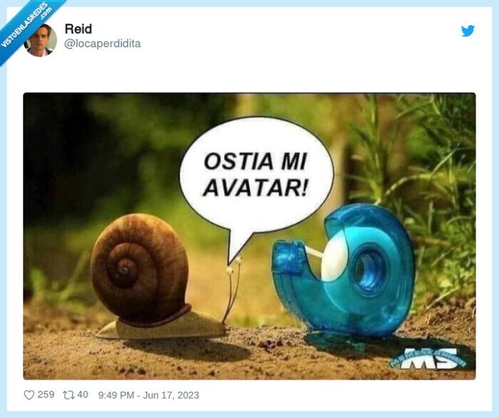 avatar,caracol