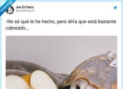 Enlace a Métele un buen bocado, hombre, por @JoeDiFalco2