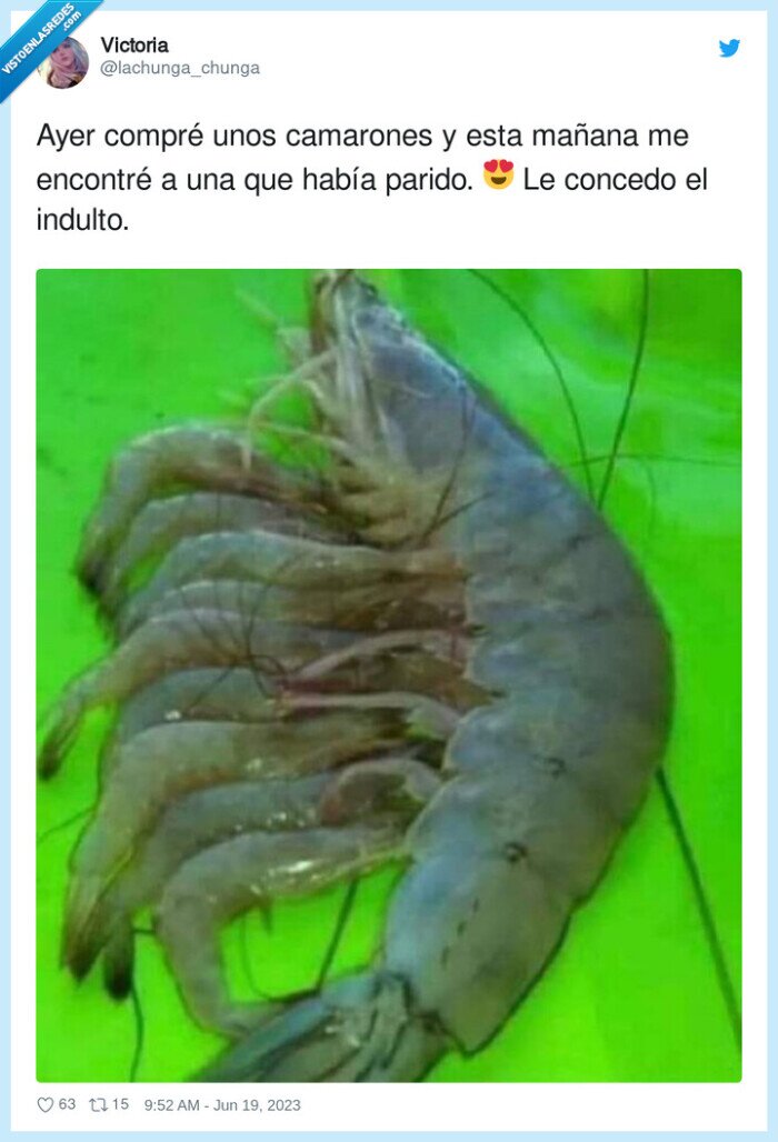 encontrar,camarones,hijos,concedo,indulto