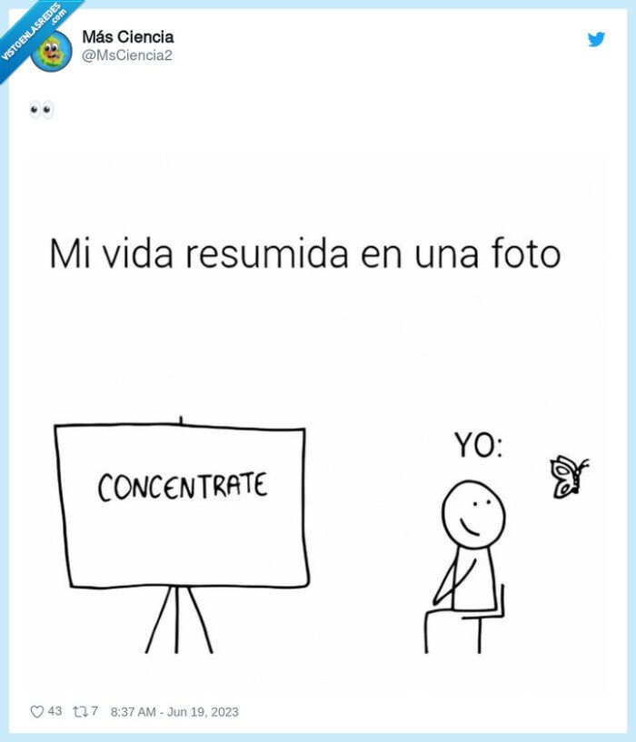 concentracion,foto,resumen,despistarse