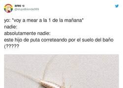 Enlace a Compartimos experiencias parecidas, por @stupidblonde999