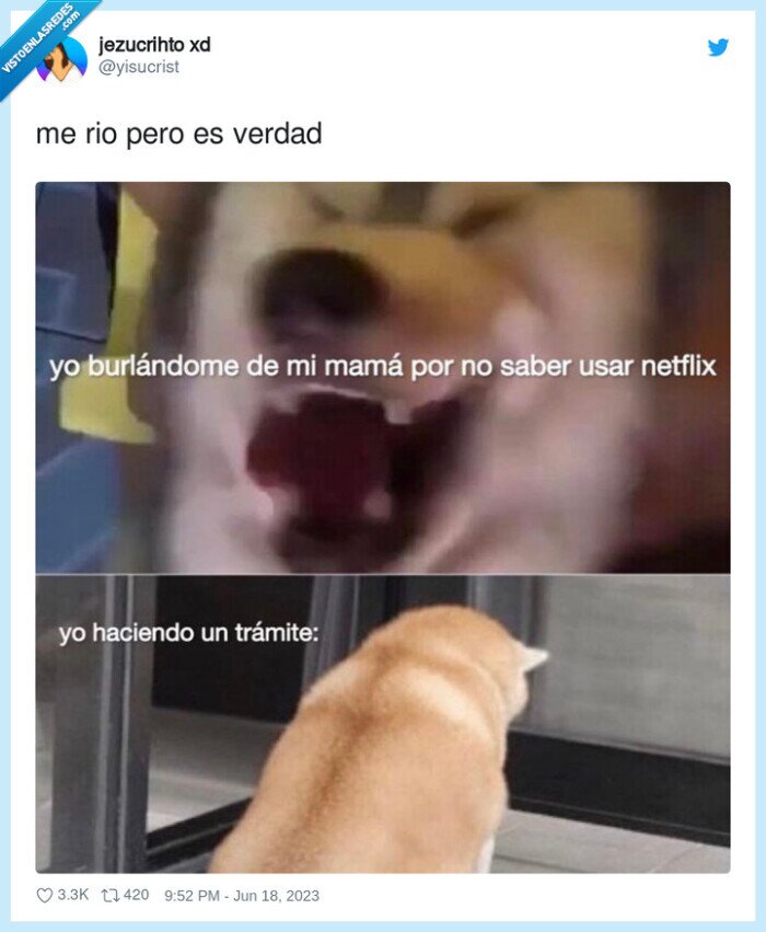 tramites,madre,netflix,usar