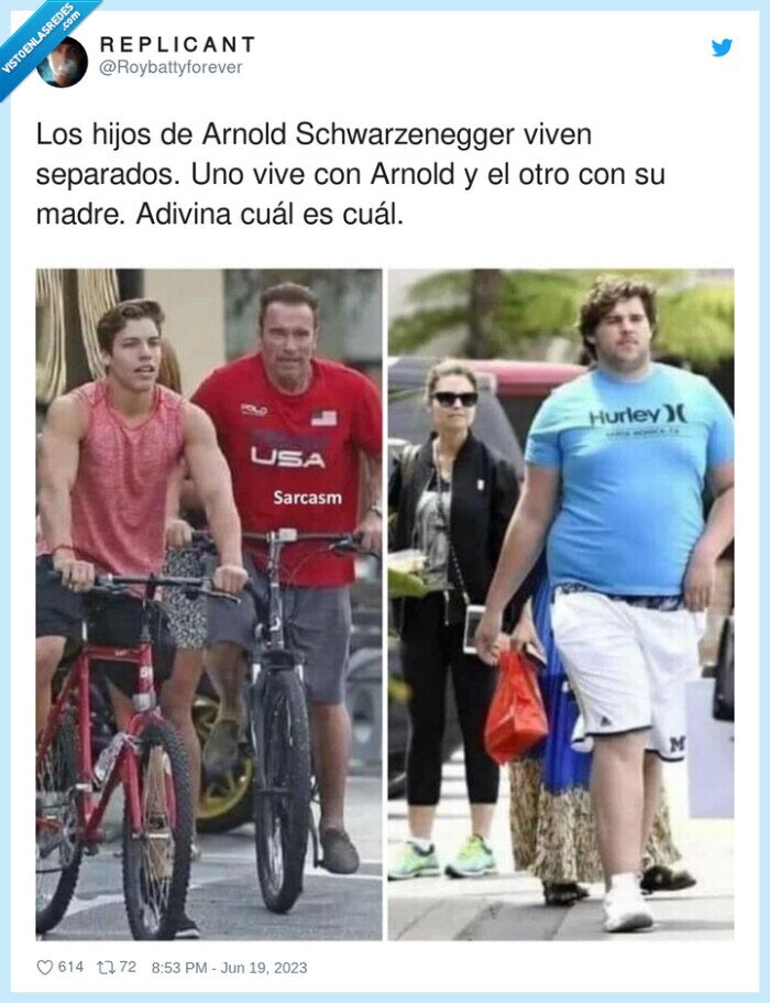 arnold schwarzenegger,separados,adivina,hijos
