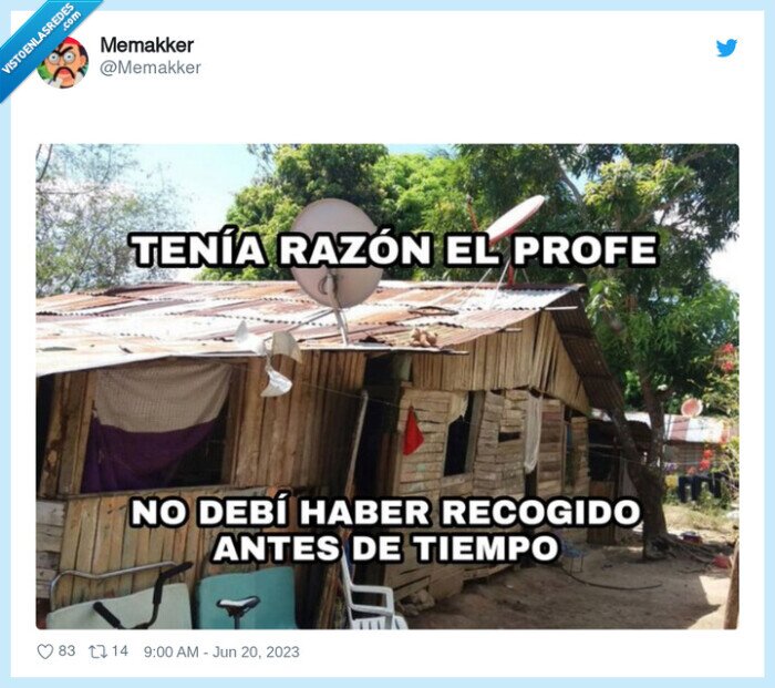 recoger,antes de tiempo,chabola