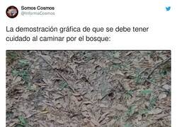 Enlace a Me he dejado la vista pero al final pude verla, por @InformaCosmos