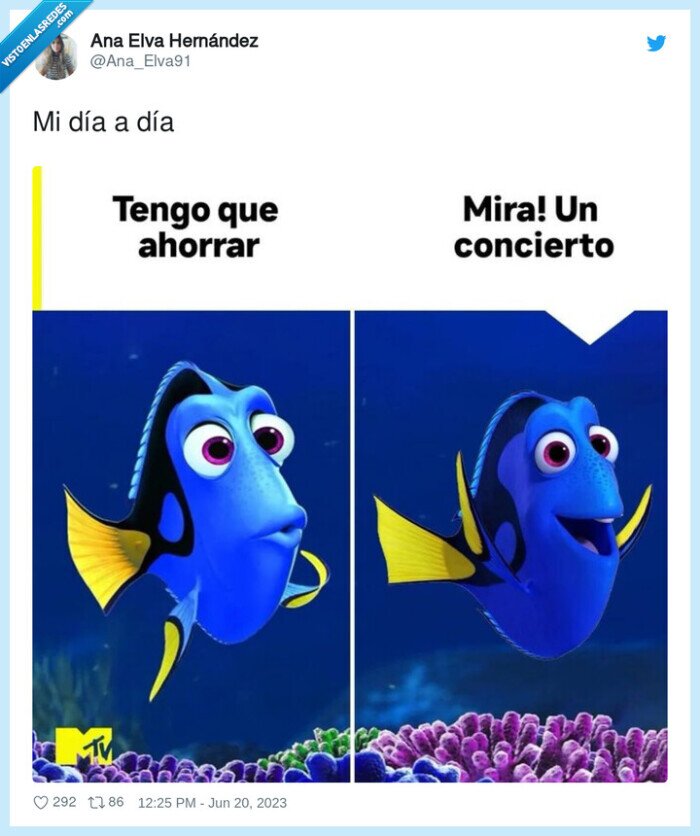 dory,ahorrar,verano,conciertos