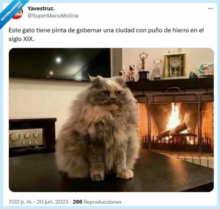 gato,ciudad,hierro