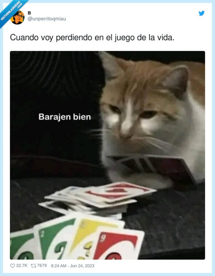 vida,juego,baraja,cartas