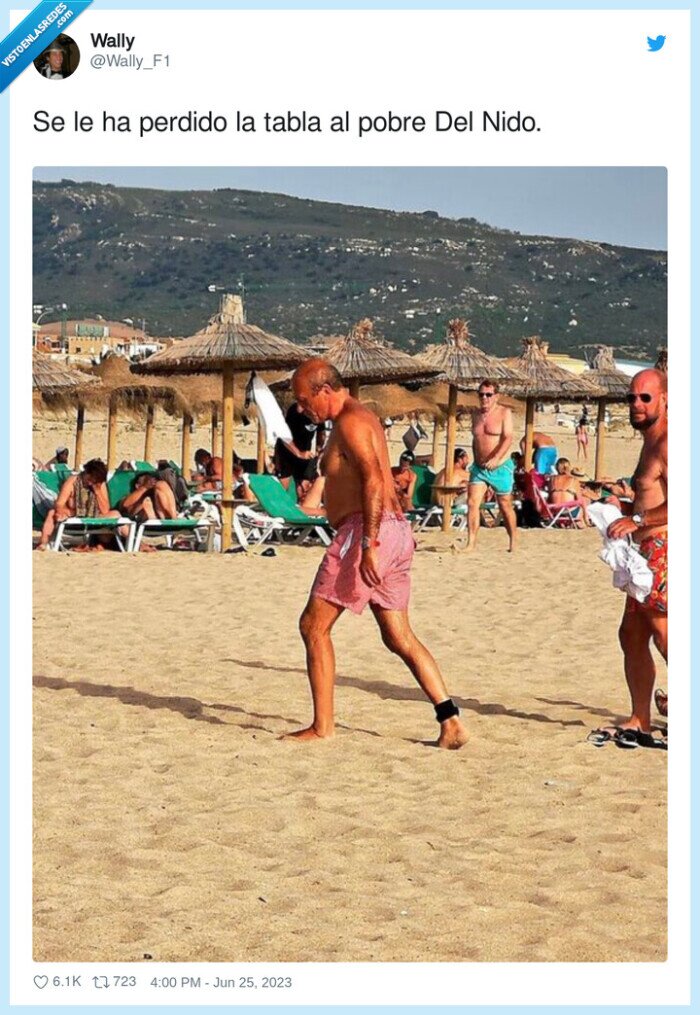 surf,tabla,del nido,tobillo,pulsera