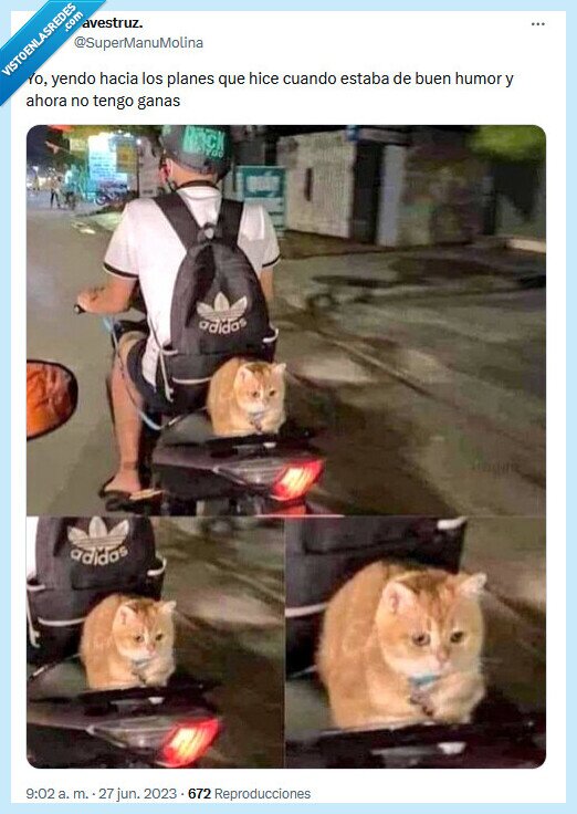 planes,cancelar,buen humor