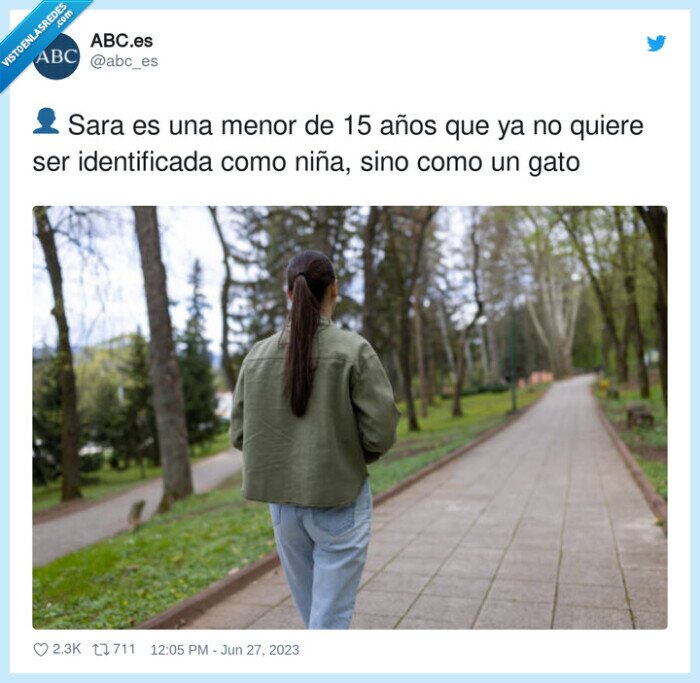 identificada,niña,menor,gato