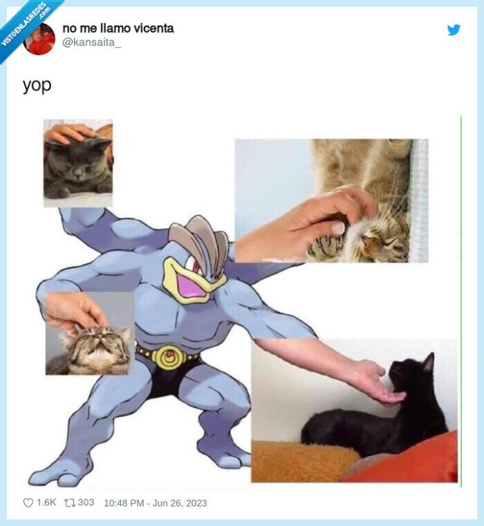 gatos,acariciar,pokemon