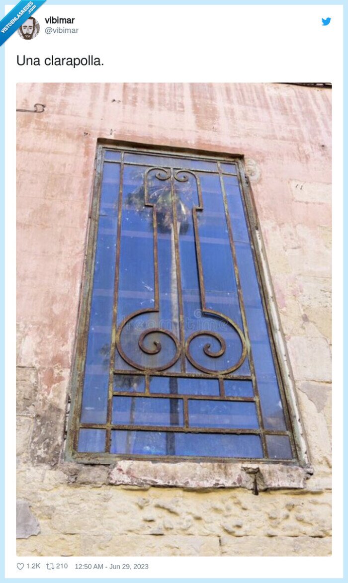 clarapolIa,ventana