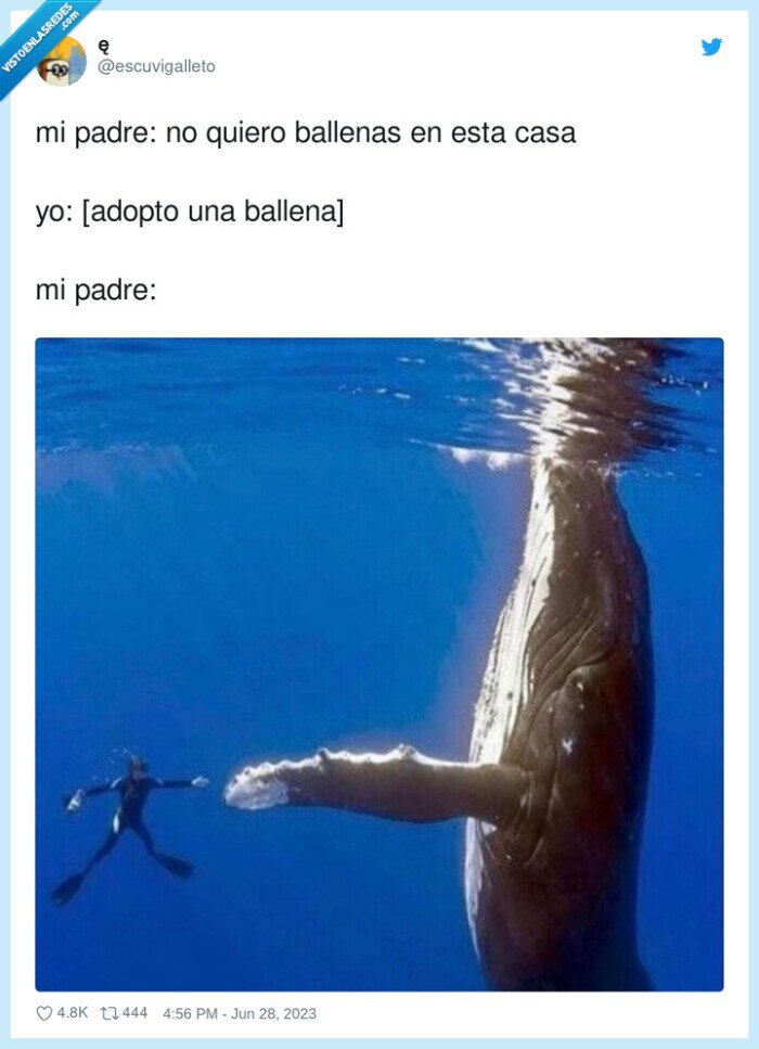 ballenas,adoptar,quiero,padre