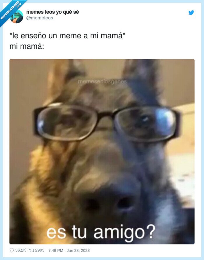 enseñar,memes,madre