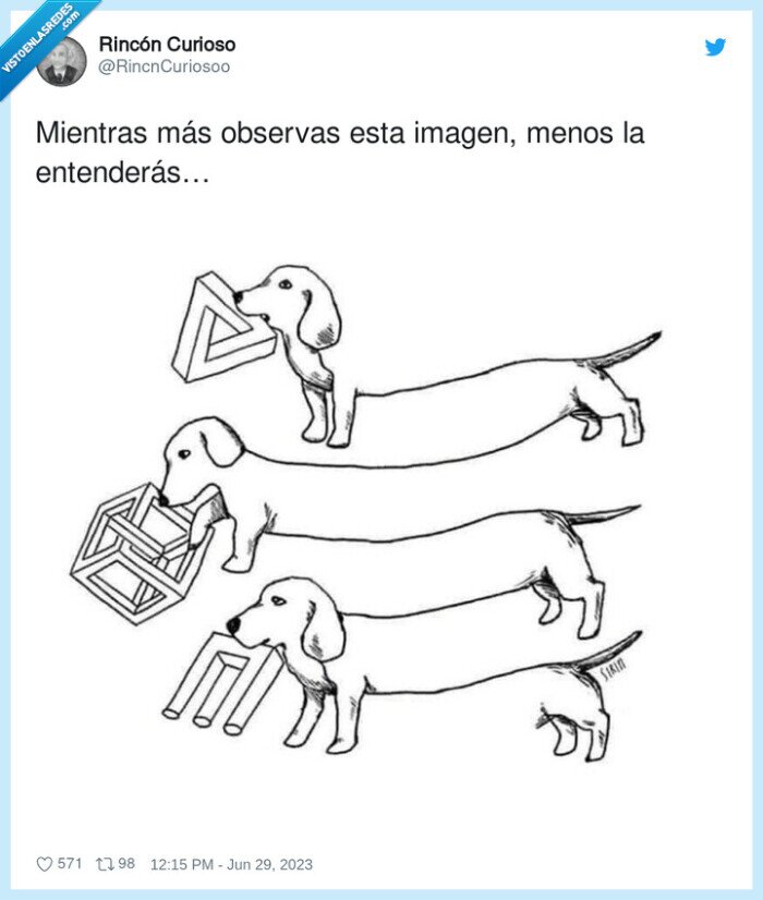 perro,salchicha,imagen,ilusión óptica