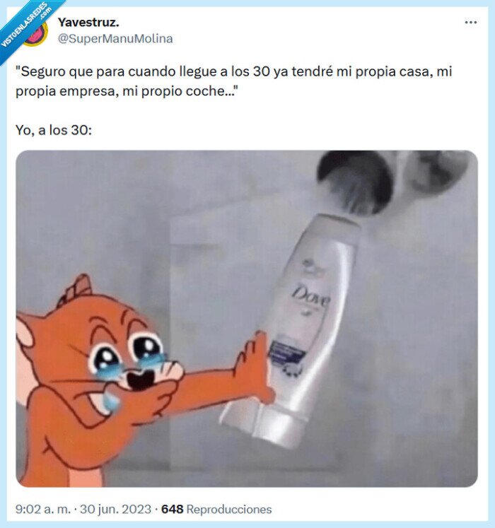 champú,pobre,rico,30