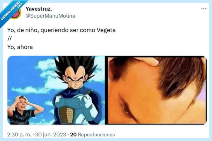 vegeta,pelo,entradas,niño