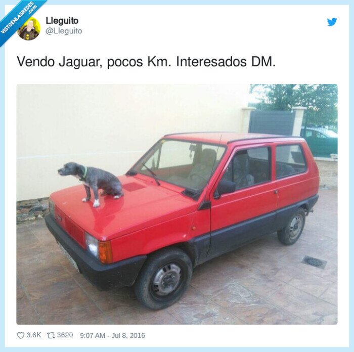 interesados,jaguar,vender