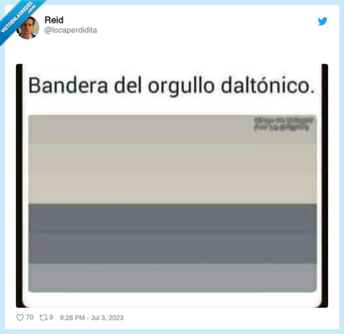 bandera,orgullo daltónico,grises