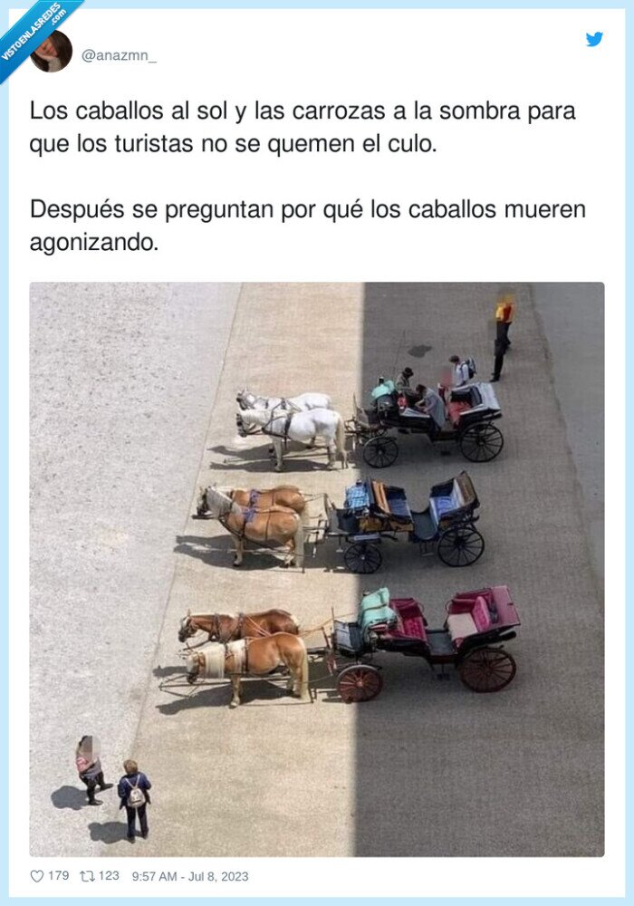 agonizando,turistas,caballos,carrozas