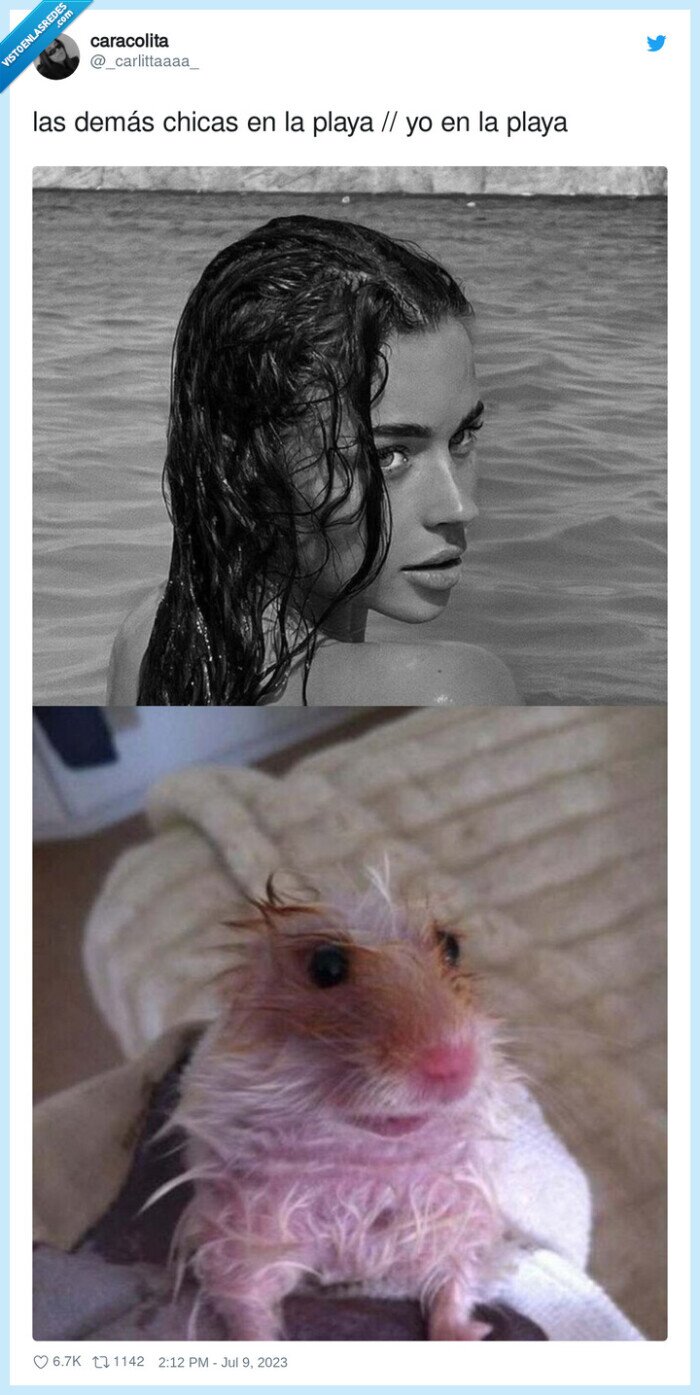 chicas,pelo,rata,playa