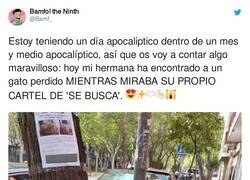 Enlace a Simplemente épico, por @Bamf_